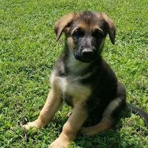 Meet your Posher, Sherri